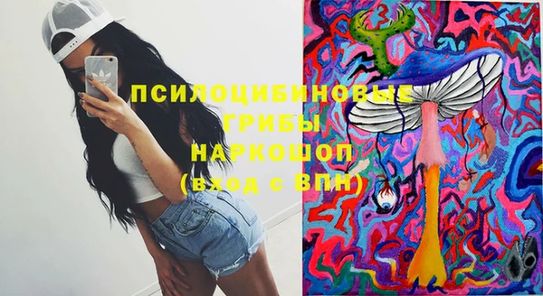 герыч Няндома