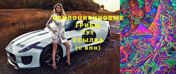 MDMA Premium VHQ Нязепетровск