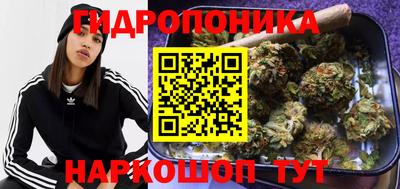 ешки Кимры