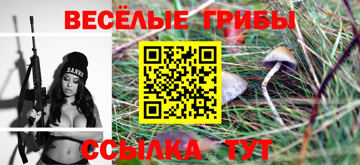 Псилоцибиновые грибы GOLDEN TEACHER Урус-Мартан