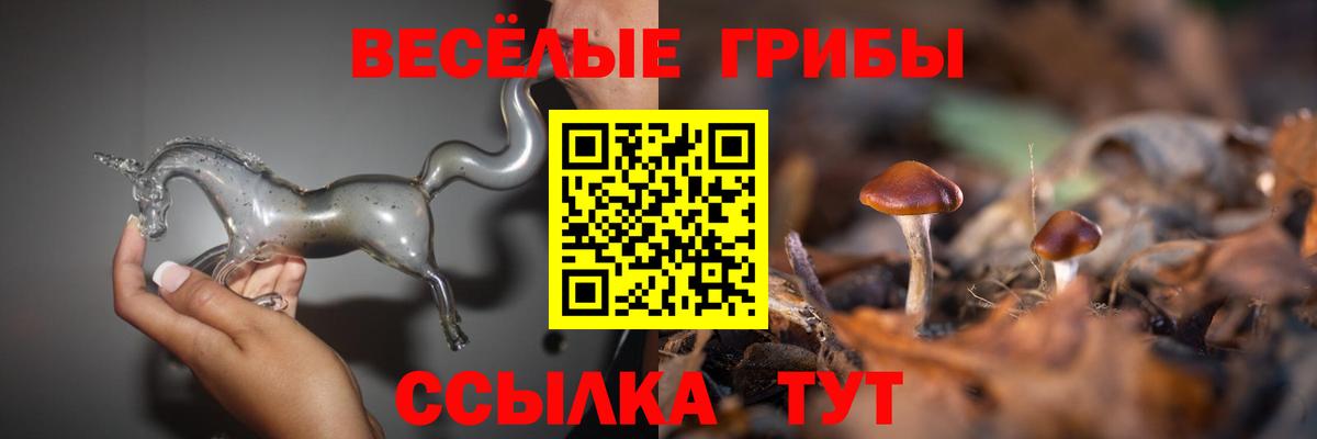 Галлюциногенные грибы Psilocybine cubensis  купить наркотик  Урус-Мартан  Вход с VPN 